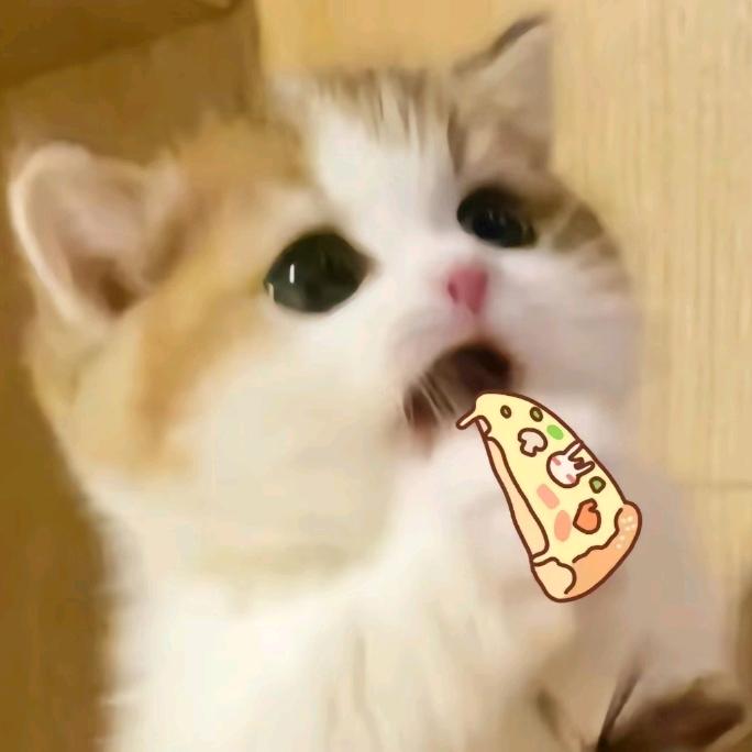 Netwokr