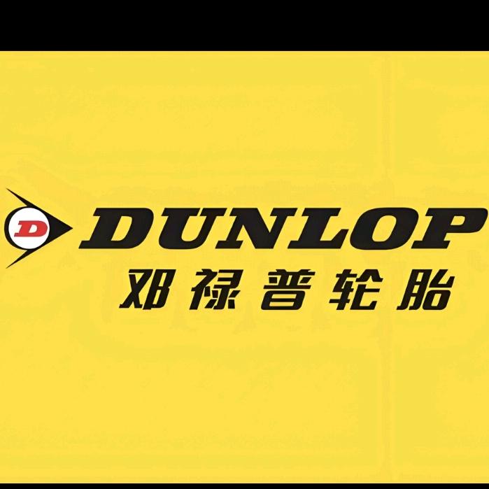 邓禄普轮胎（民生悦府店）