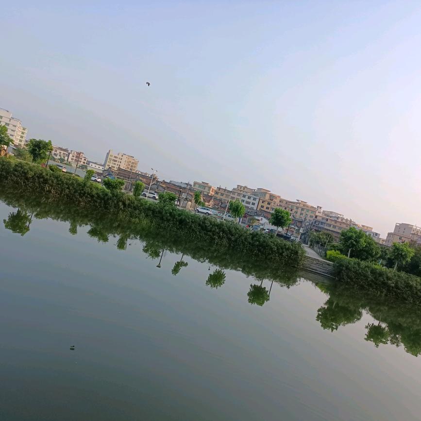 富春