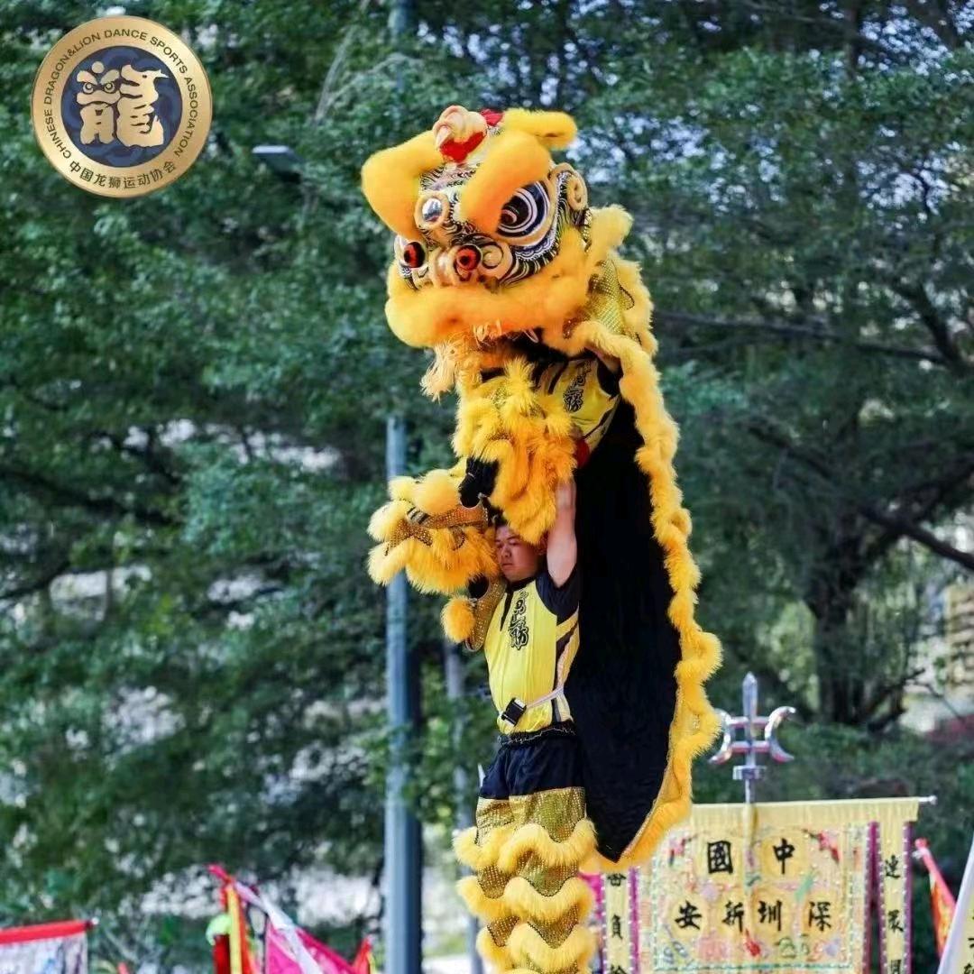 佛山市南海区林南醒狮用品经营部