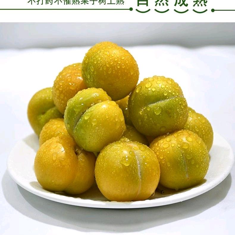 小兰果园 （度尾文旦柚）