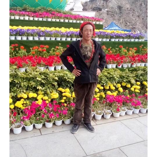 感谢父母的养育之恩，