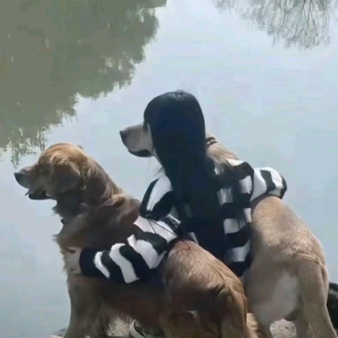 激情不能被消沉的暮色淹没