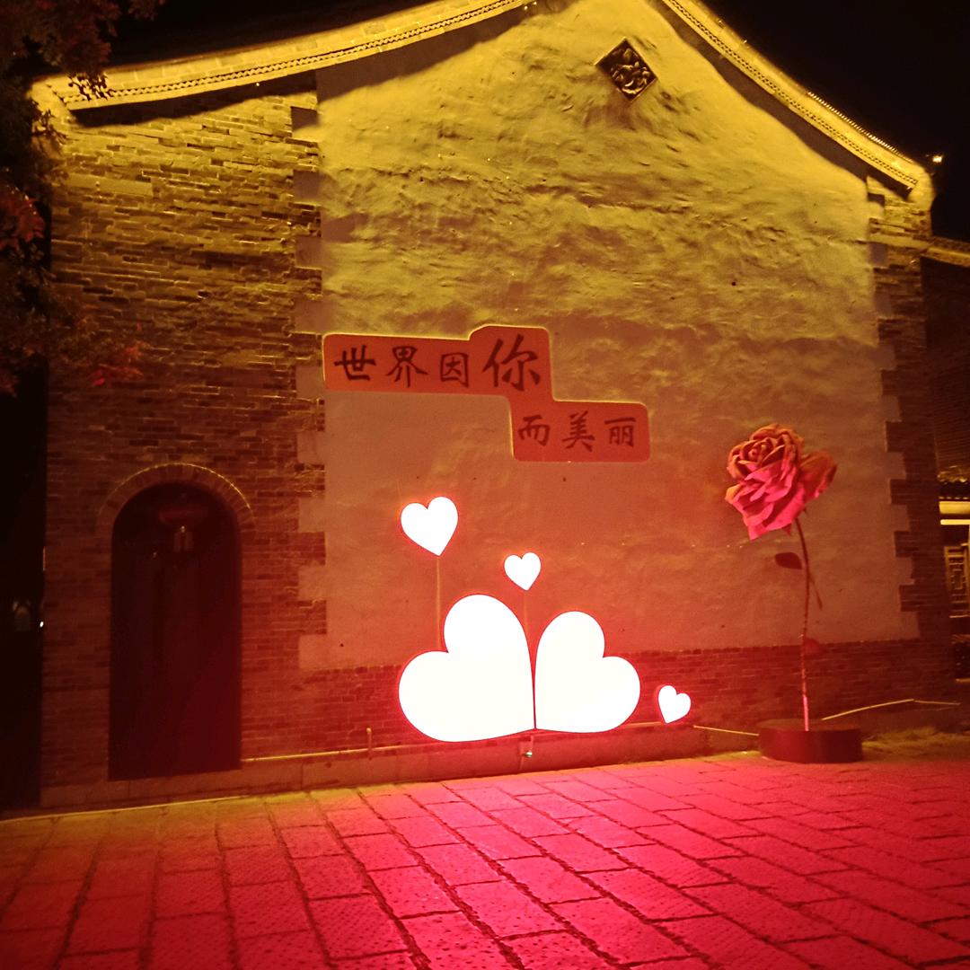 青春之帆由我掌舵