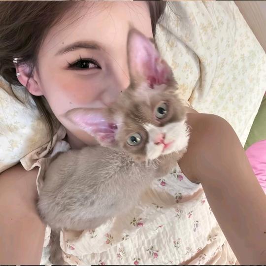 摆烂小鱼