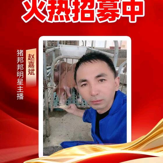 双胞胎猪食哥