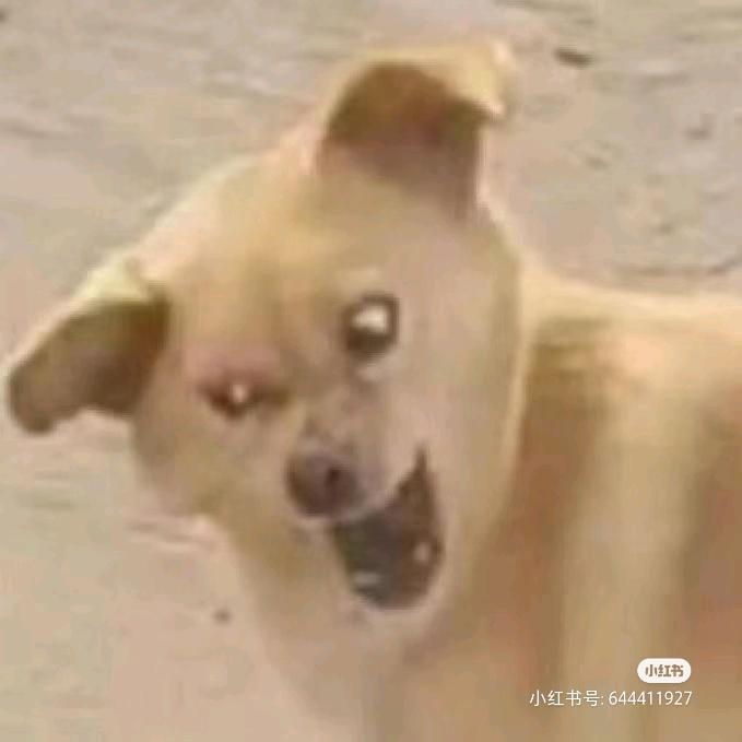 王王