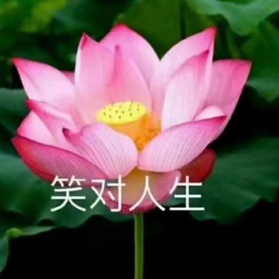 美花🌸