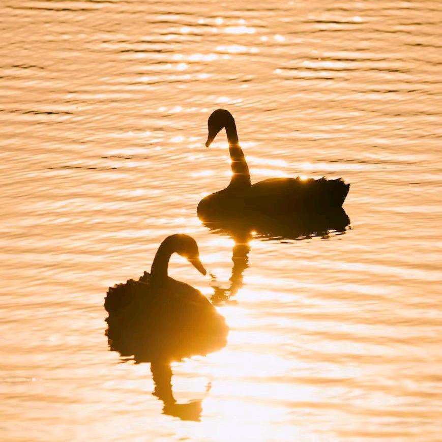 小小年纪苦恼苦恼