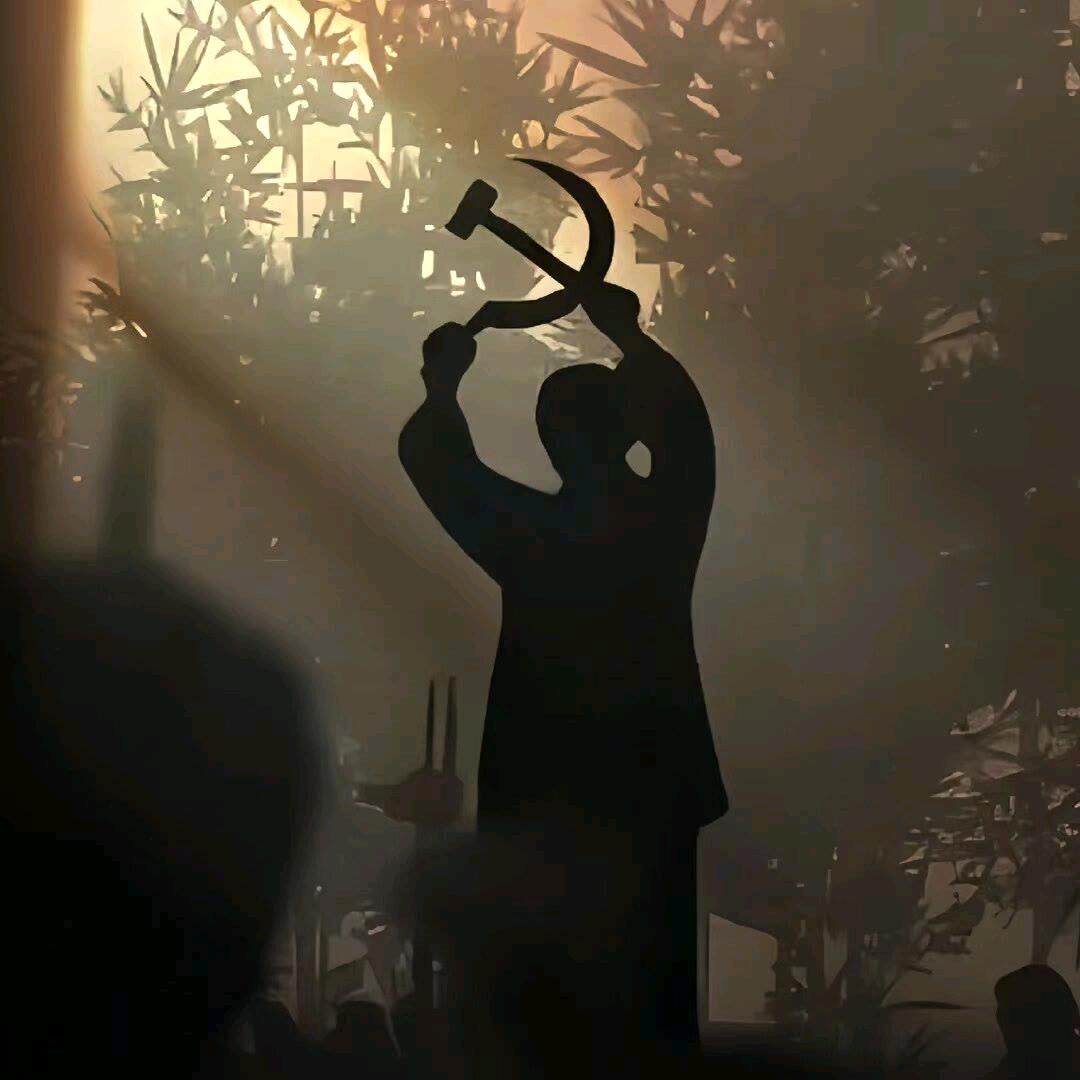 楠楠楠