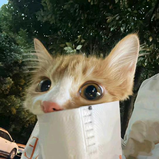 yiyi