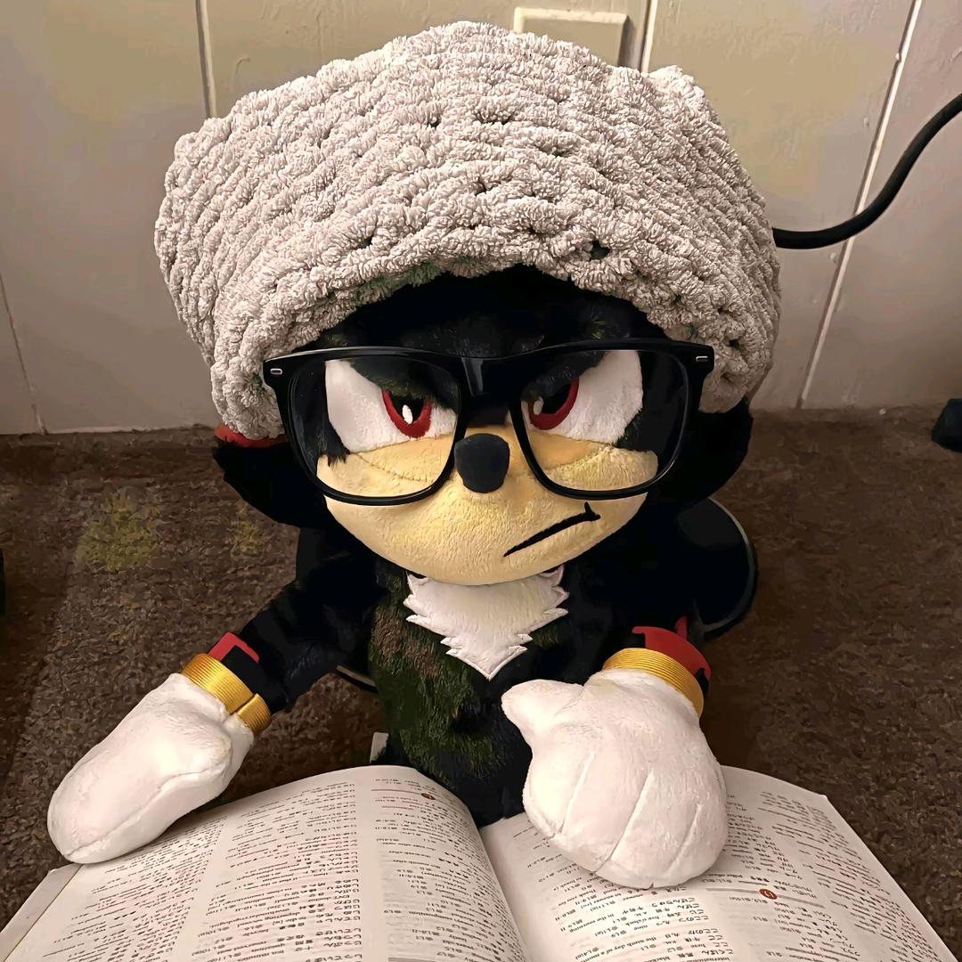 贝儿公主