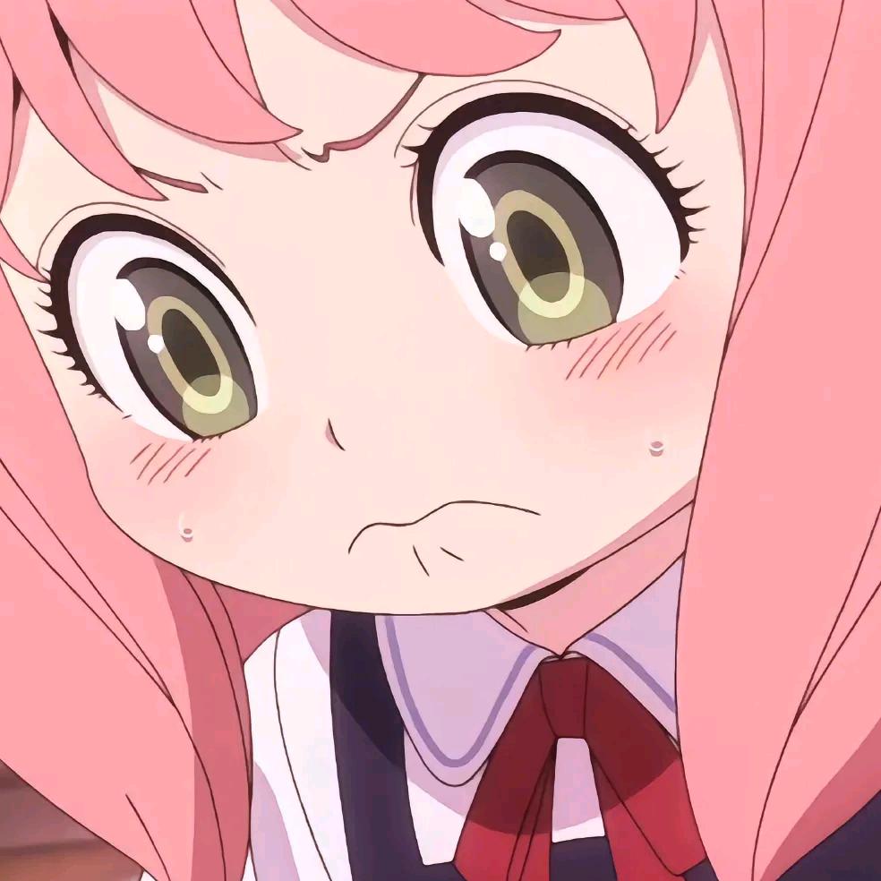 叙子y