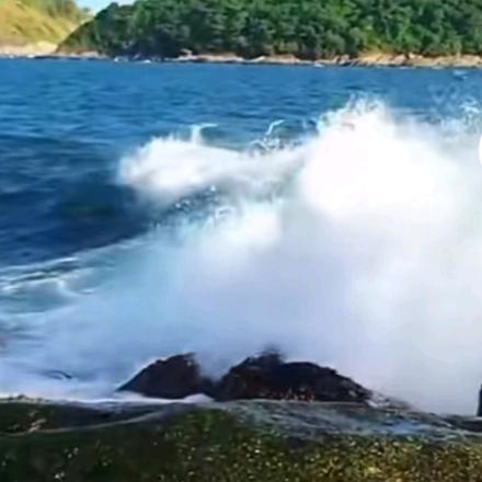 今晚心心不打烊