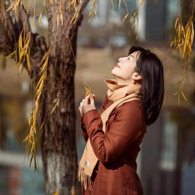 瑶瑶的花卉