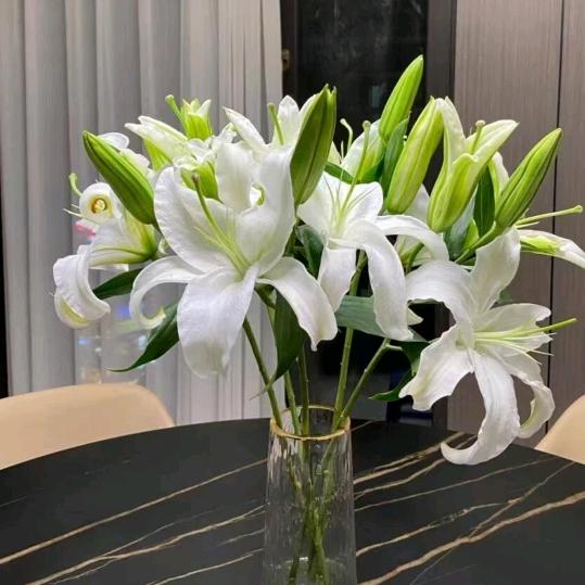 西鑫泰