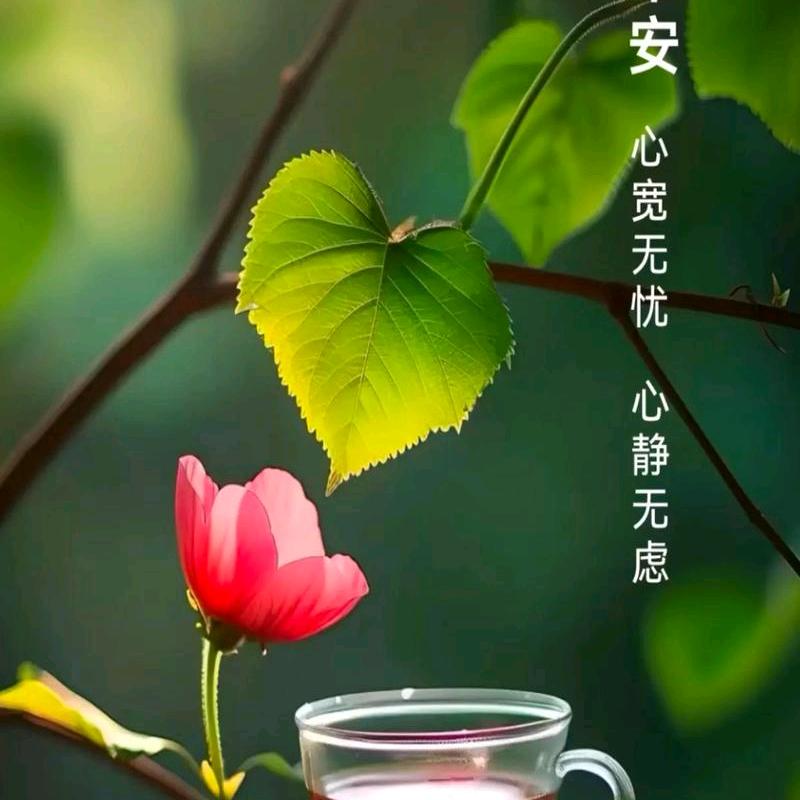 早早