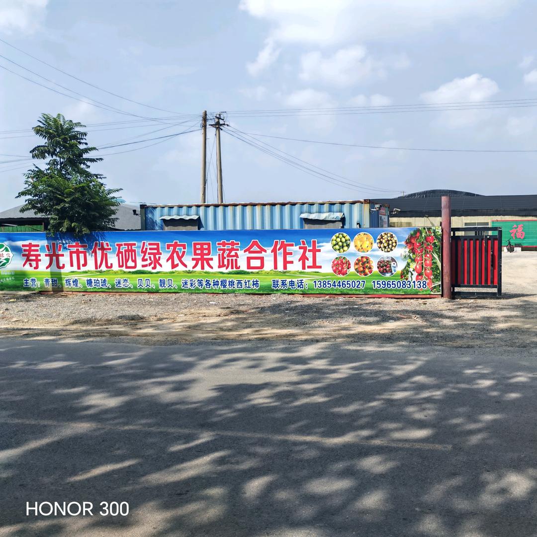 优硒绿农圣女果代办