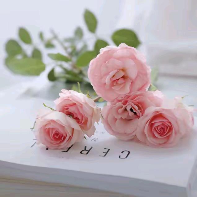 宝✺◟(∗❛ัᴗ❛ั∗)◞✺