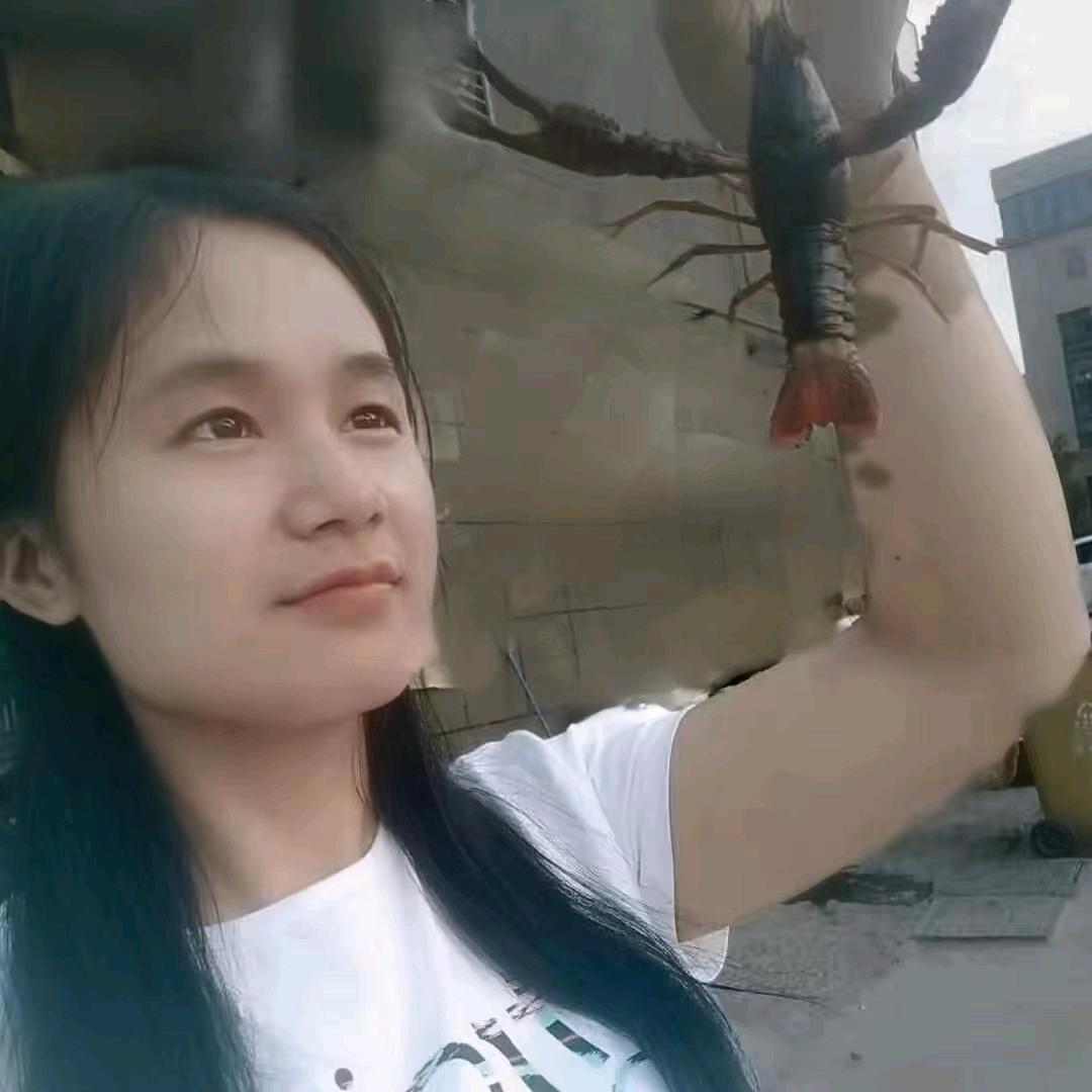 🍀小丫头  🍀🍀🍀🍀