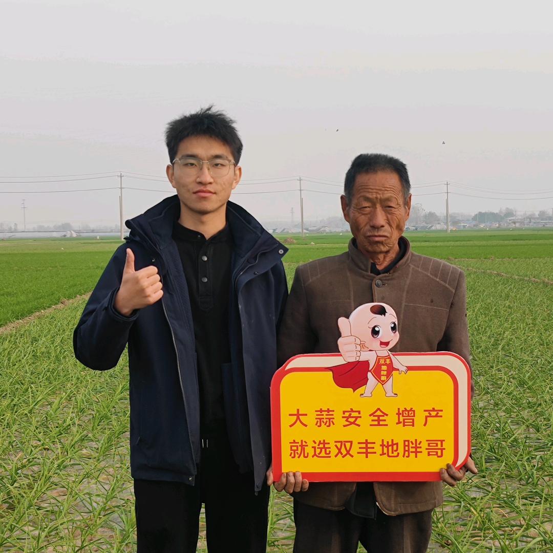 双丰吴老师聊大蒜