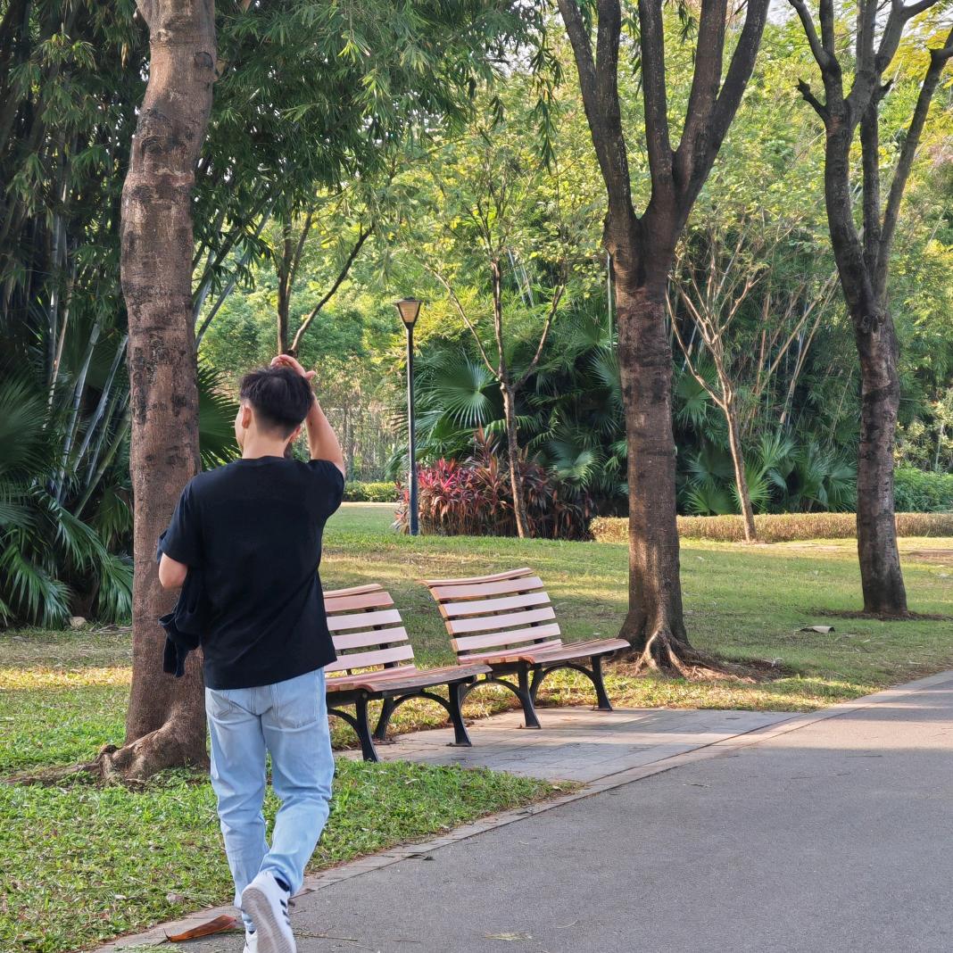奔跑的牛