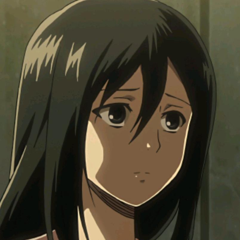 kafkafMikasa