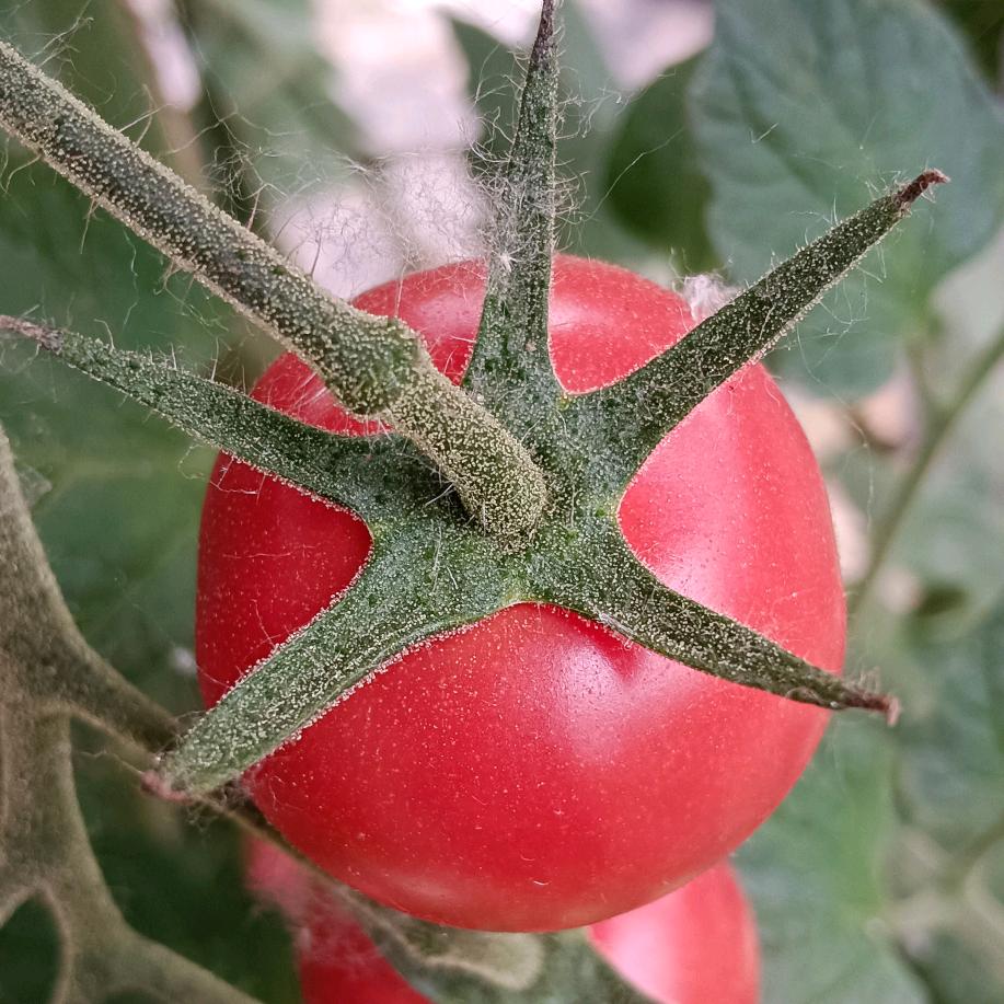 无间《永劫》☔