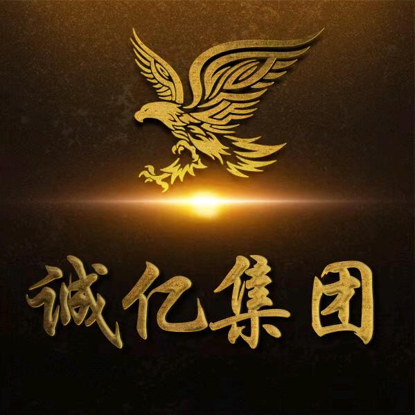 诚亿集团