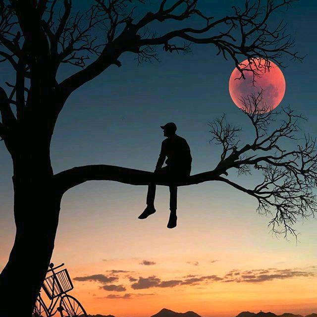 ——————————————————