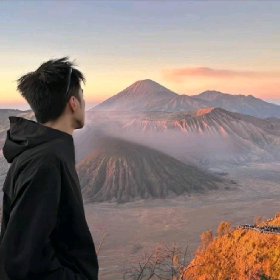 小小龙