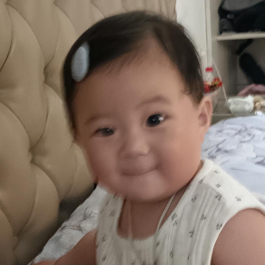 阳光灿烂的日子