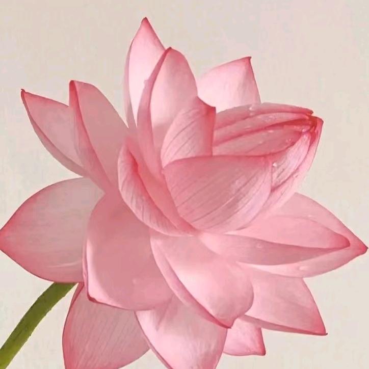 李昌群