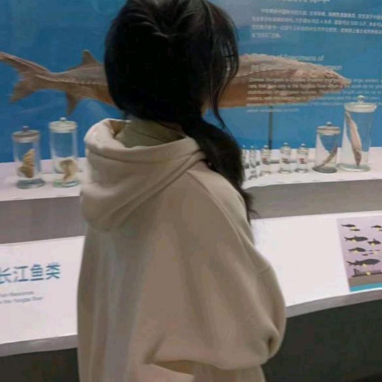 摆摆