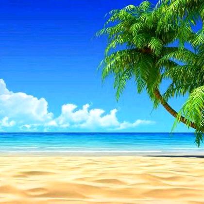 开心快乐每一天