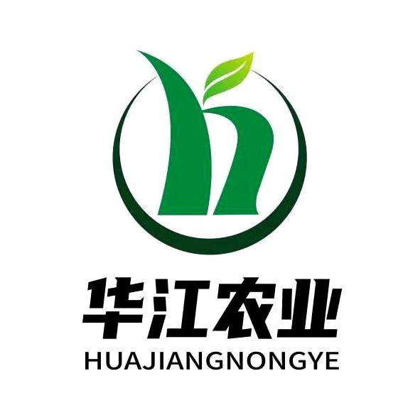 华江瓜蒌苗批发