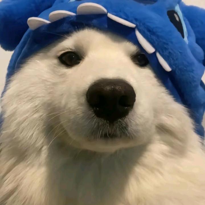呀！土豆