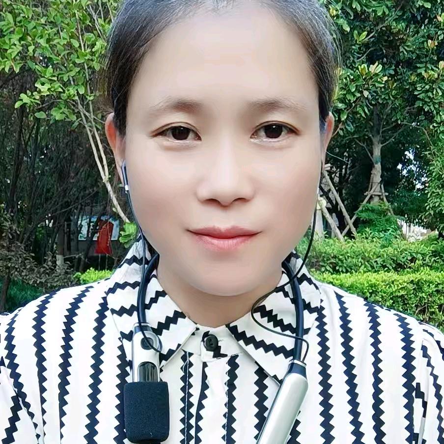 南阳海鸥姐