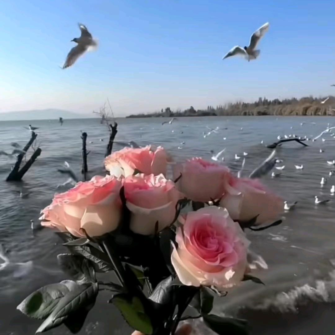 热孜宛古丽·约麦尔