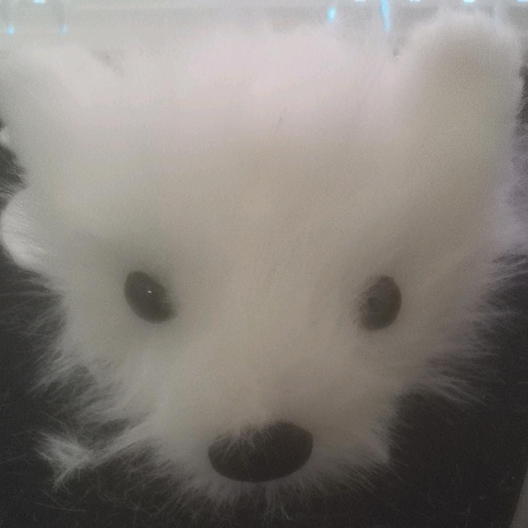 七月
