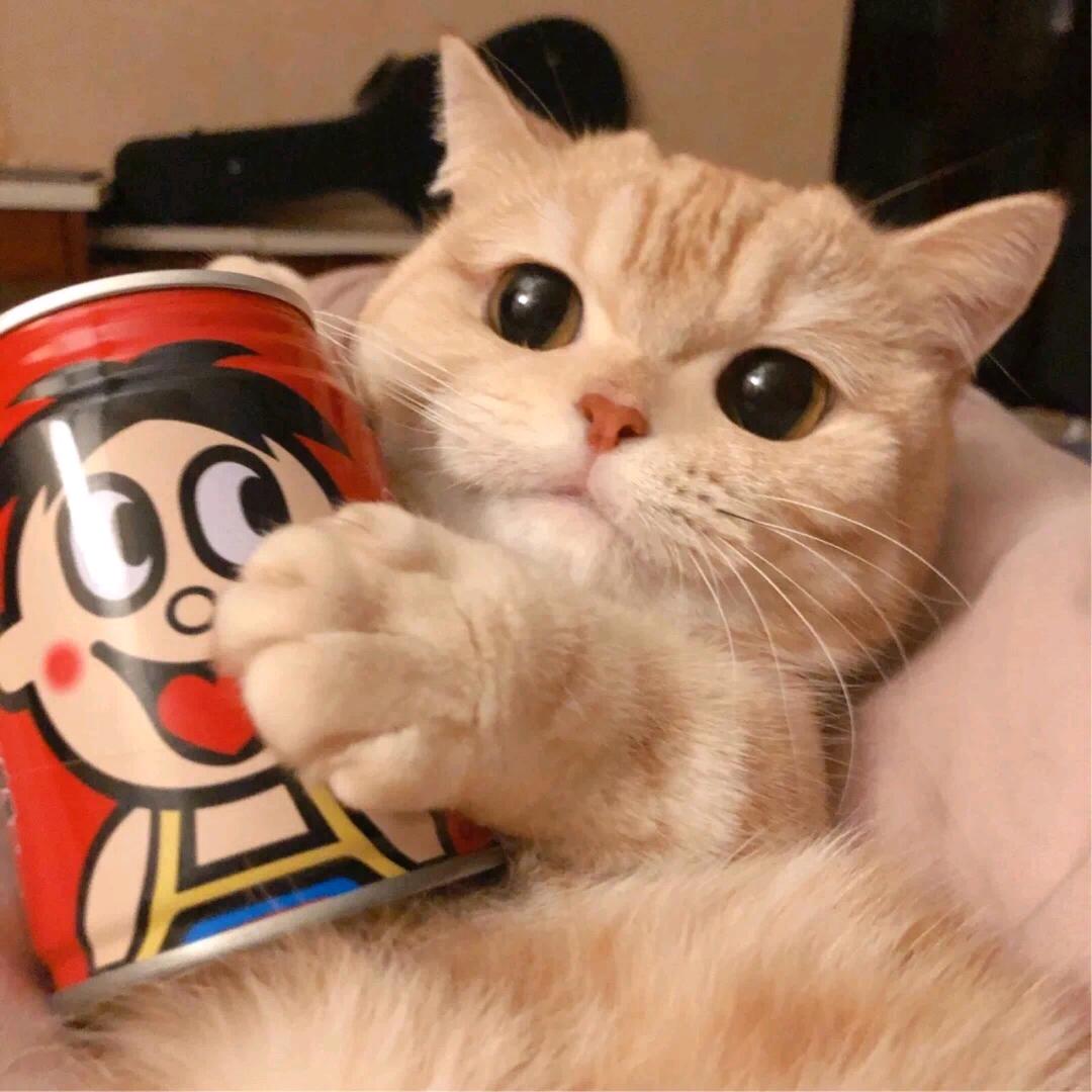 🌈点点🌈