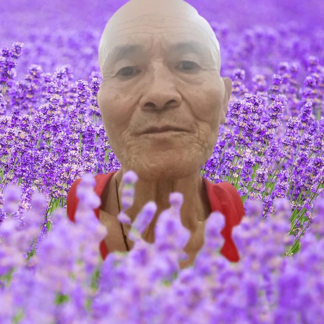 00 Q一帆风顺