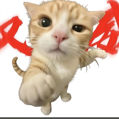 权威哥