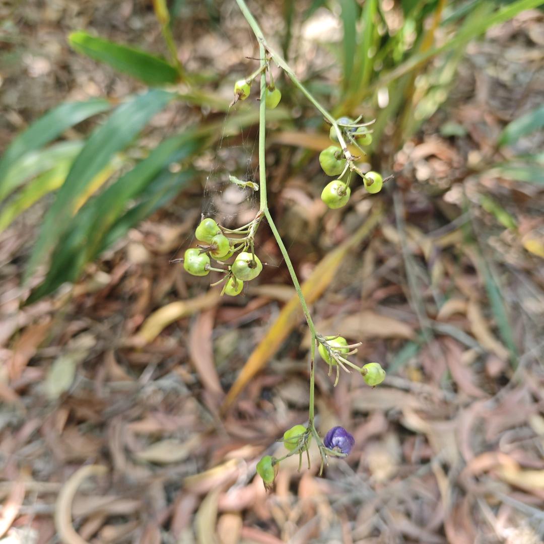你是谁，将去何方！