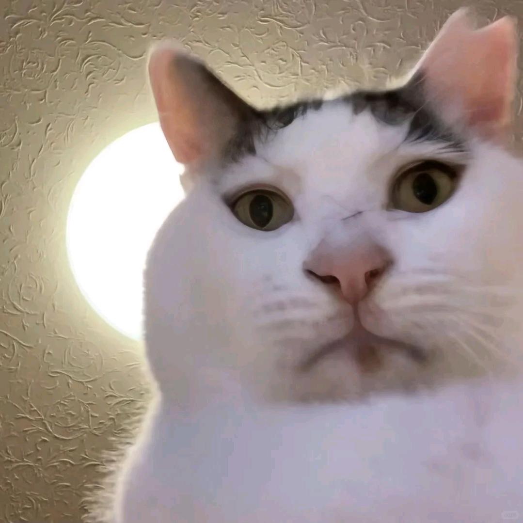 …