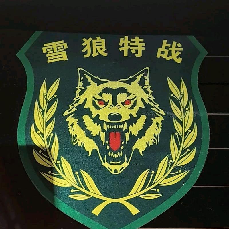 🇨🇳雪🐺狼🇨🇳