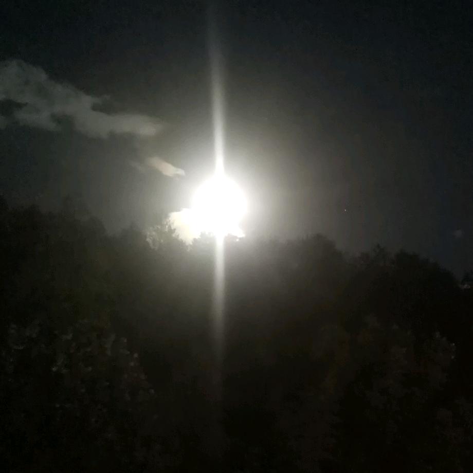 我不是故意的