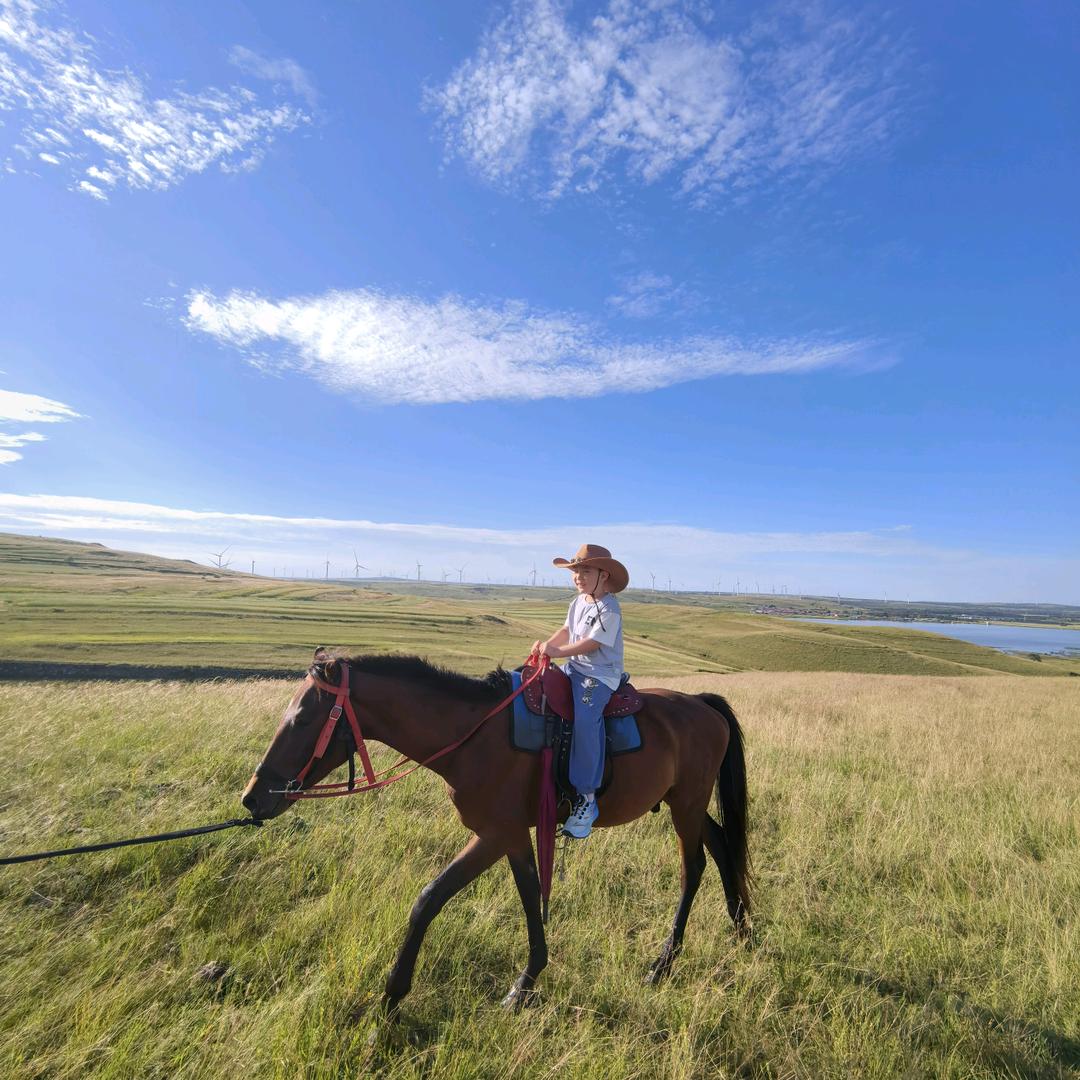 保定二手房 小卖部