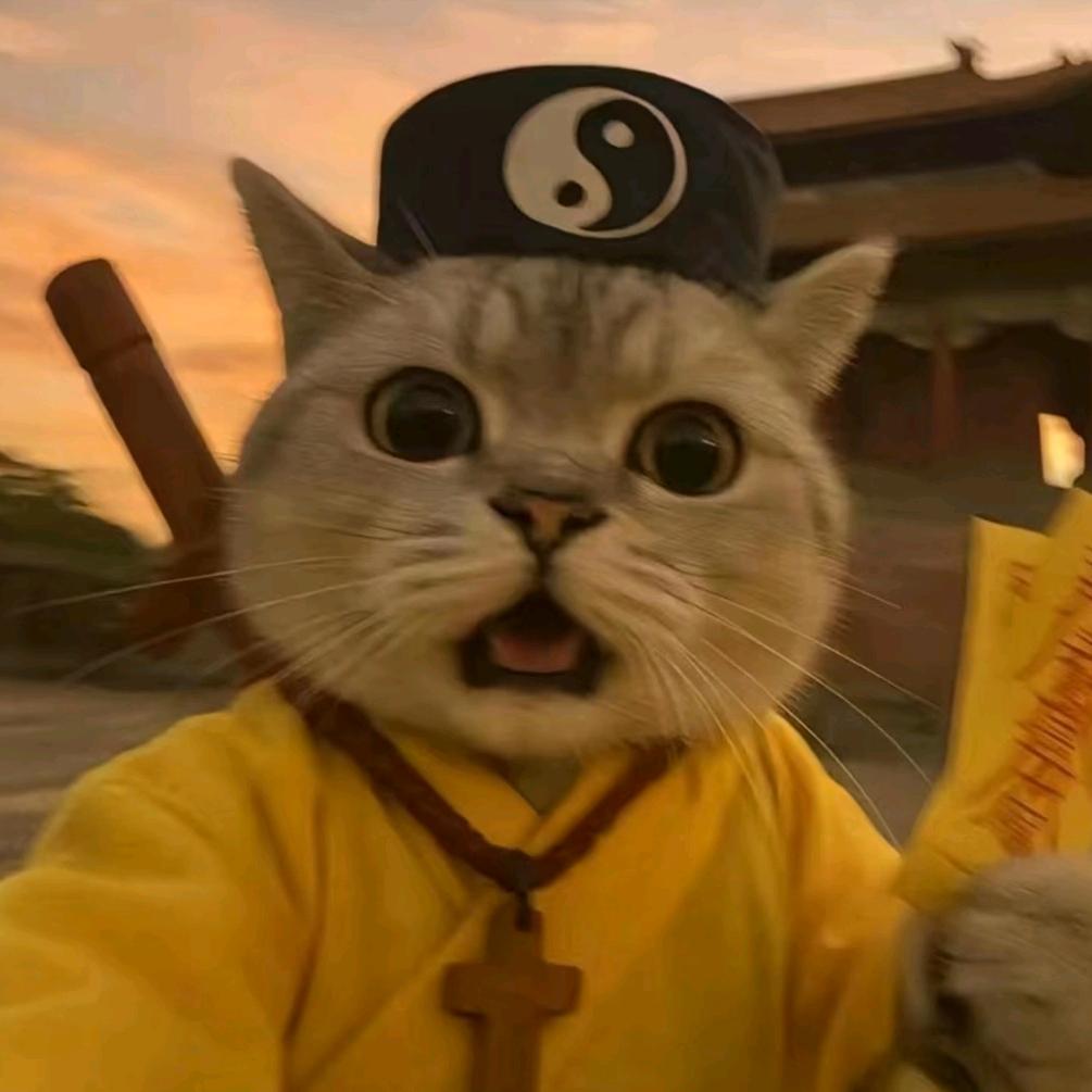 坏坏的猫