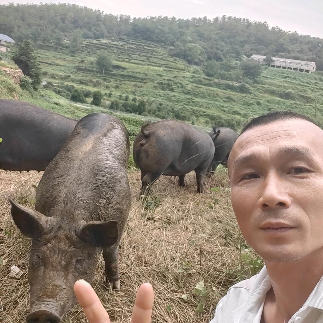 小悟里黑土猪杨子
